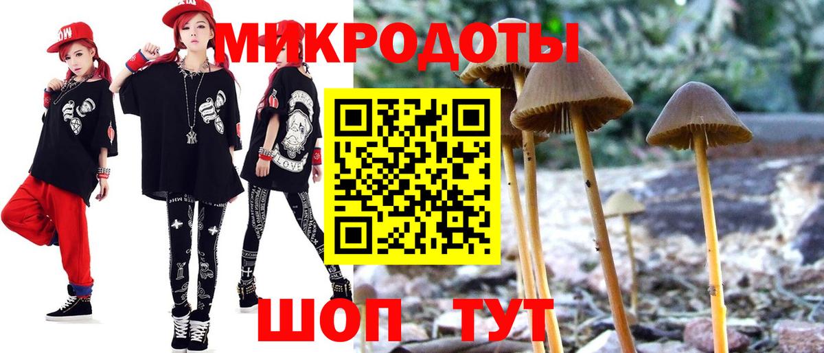 Нижний Новгород  Псилоцибиновые грибы MAGIC MUSHROOMS  Галлюциногенные грибы Psilocybine cubensis  Вход с VPN 